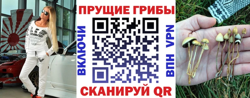 Галлюциногенные грибы мицелий Первоуральск