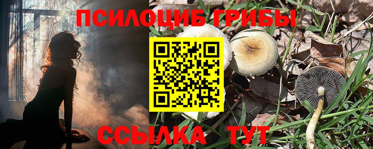 Первоуральск  Галлюциногенные грибы GOLDEN TEACHER  цены наркотик  Вход с VPN 